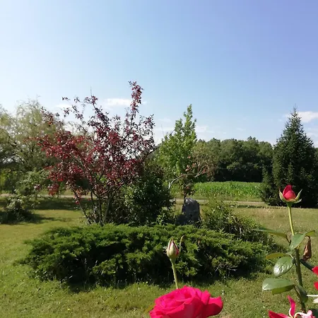 Jomenisa