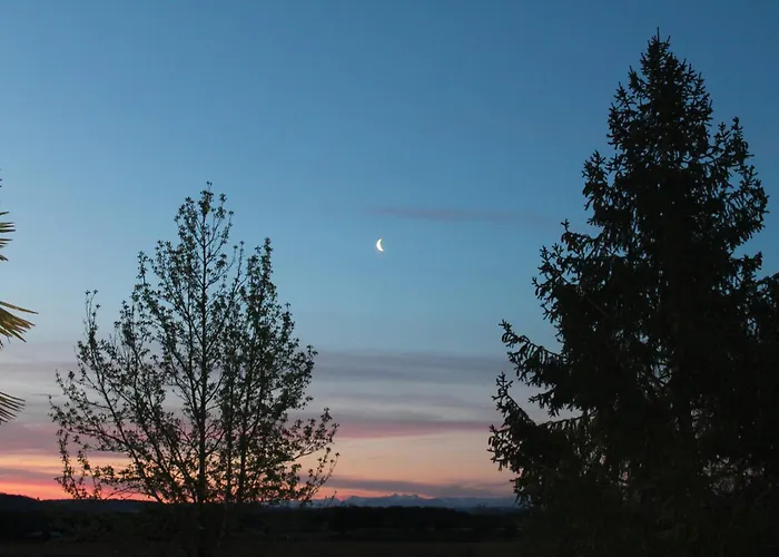Jomenisa 住宿加早餐酒店